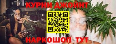 apvp Гусев