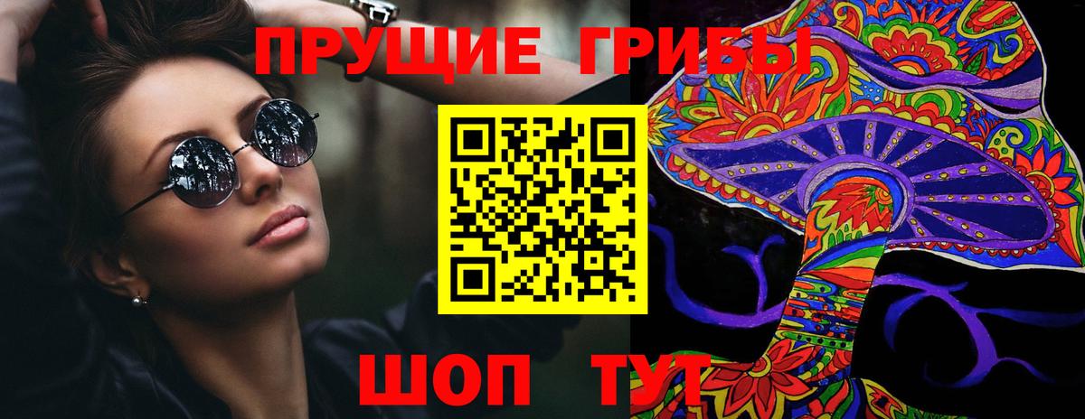 Псилоцибиновые грибы Psilocybine cubensis  Вход с VPN  Выборг 